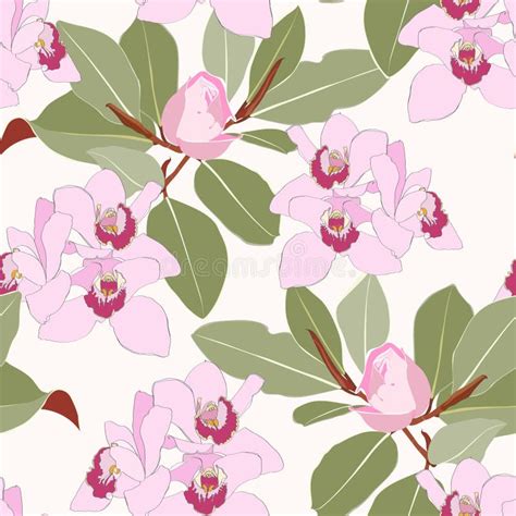 Floral Seamless Pattern Pink Anise Magnolia Orchids Flowers And