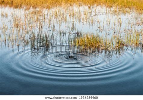 1237 Stone Thrown Water Images Stock Photos 3d Objects And Vectors