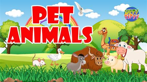 Pet Animals Pre School Learn English Words Spelling Video For