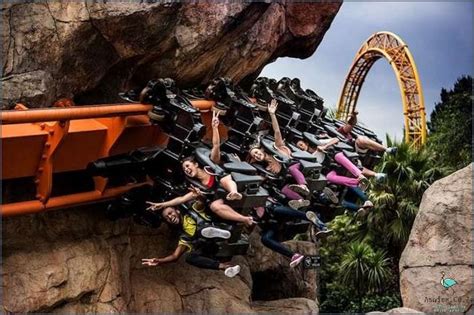 Experience Thrill Rides At Gold Reef City May 2025 Aswicacoza