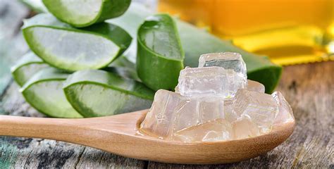 Awesome Aloe 5 Reasons Why Aloe Vera Is The Best For Your Skin And