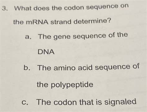 Solved: 3. What does the codon sequence on the mRNA strand determine? a ...