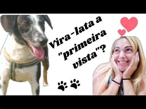 Motivos Para Adotar Um Vira Lata C Es Viralata Motivos