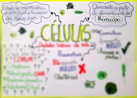 SOLUTION Mapa Mental C Lulas Studypool