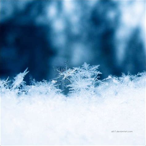 Snowflakes Photography Inspiration