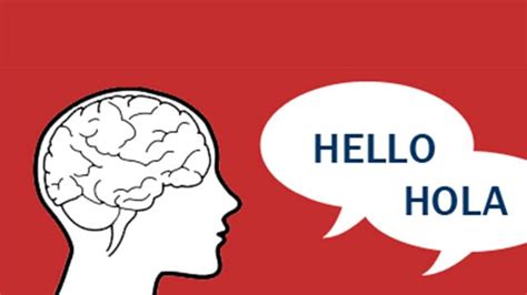 How The Brain Benefits From Being Bilingual Infographic