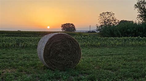 Catalunya se prepara para la ola de calor y la payesía se adapta a la