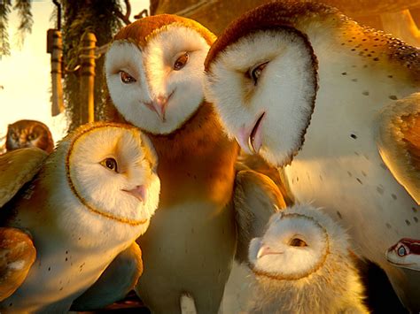 Sensational Collections Of Soren The Barn Owl Photos Loexta