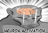 Monkey Sees Action Neuron Activation Know Your Meme