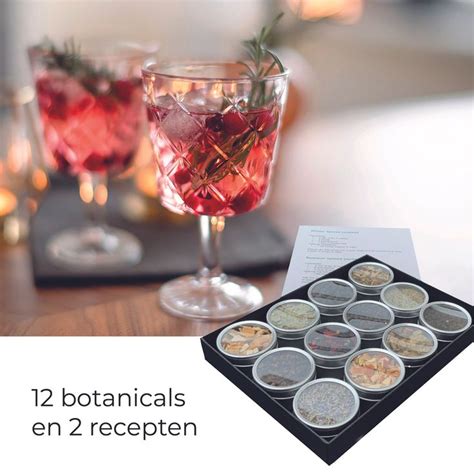 Gin Tonic Pakket Met Recepten Cocktail Pakket Cadeau Gin Cadeau