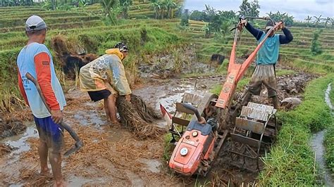 Jerami Berantakan Traktor Sawah Menggarap Lahan Petak Sempit YouTube