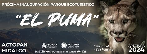 Parque Ecotur Stico El Puma Gobierno De Actopan Hidalgo