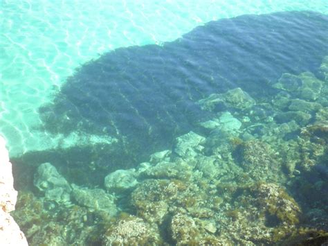 El Instituto de Ecología Litoral estudia la Posidonia de la Orihuela