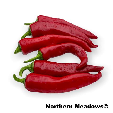 Anaheim Pepper - Northern Meadows