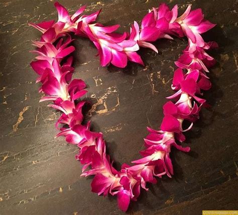 Celebrating Valentines Day In Hawaii Go Visit Hawaii