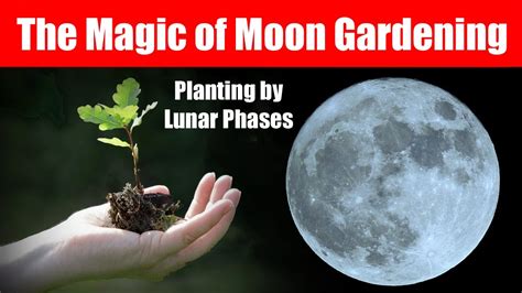 The Magic Of Moon Gardening Planting By Lunar Phases YouTube