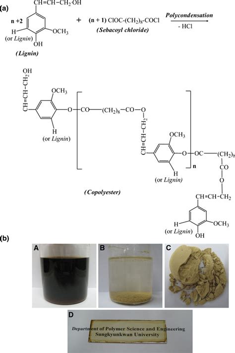 A Synthesis Pathway Of Lignin Based Copolyester From Polyesterification