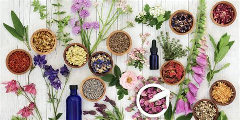 Los Secretos Y Beneficios De La Aromaterapia EQM Madrid