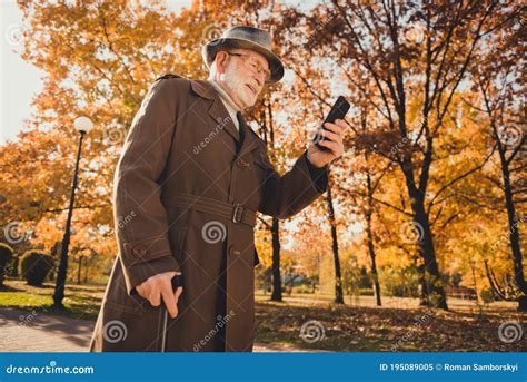 Profile Photo Of Retired Cheerful Grey White Hair Grandpa Walk Desert Park Stick Chatting