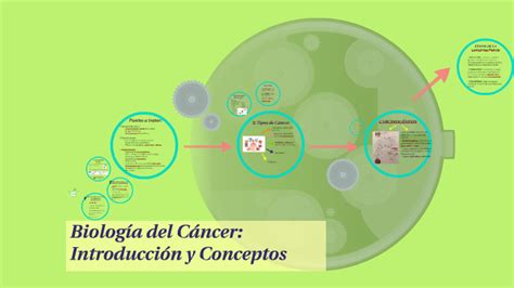 Biolog A Del C Ncer Introducci N Y Conceptos By Isabel Maria Cano