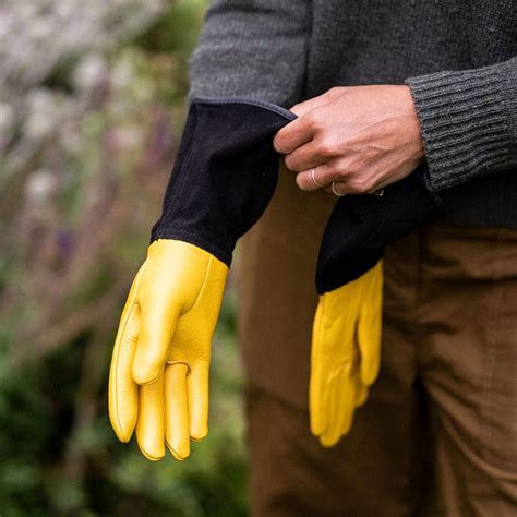 Buy Rhs Gold Leaf Tough Touch Gloves Delivery By Crocus