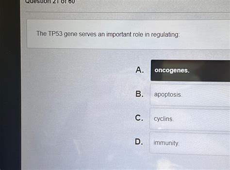 Solved The TP53 ﻿gene serves an important role in | Chegg.com 