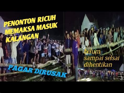 PENONTON MAKSA MASUK KALANGAN MBEROT BERSAMA LEMBU ARUM SEJATI YouTube