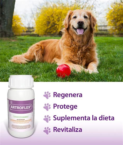 RUILAND ARTROFLEX Suplemento Alimenticio Para Perro Amiwis