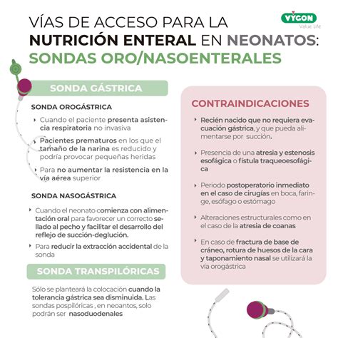 V As De Acceso Para La Nutrici N Enteral En Neonatos Sondas