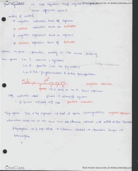 BSC 350 Study Guide Fall 2015 Final Microrna Repressor Drosha