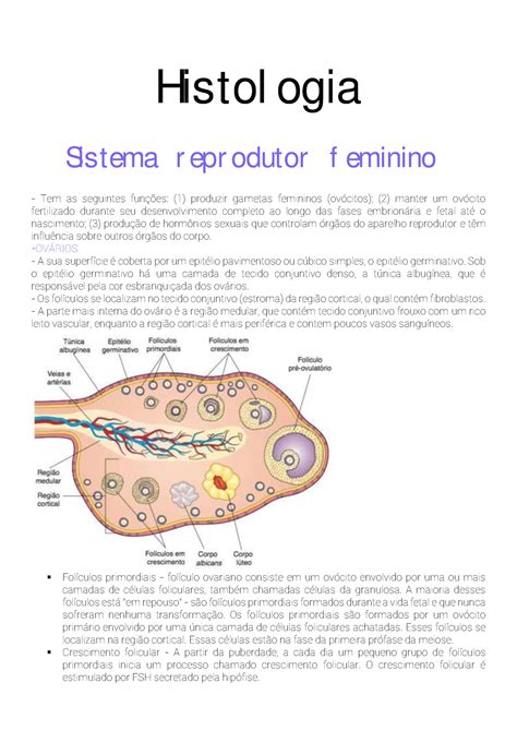 Histologia Sist Reprodutor Feminino Histol Ogia Sistema R Epr