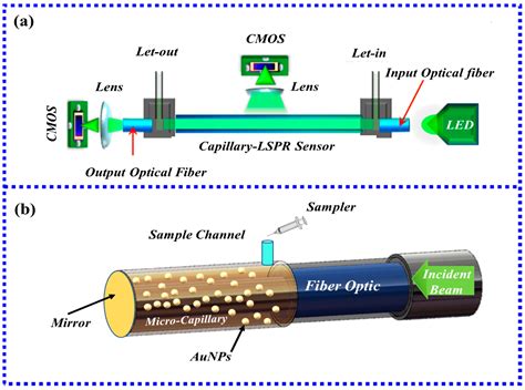 Biosensors Free Full Text Recent Advancements Of Lspr Fiber Optic