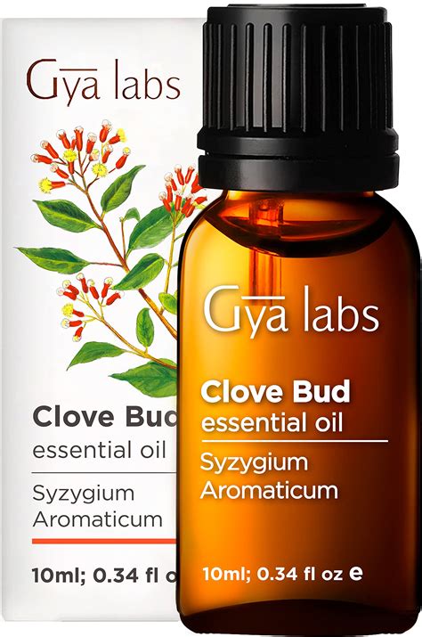 Gya Labs Clove Bud Essential Oil For Oral Gum Health 10ml Pure