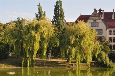 Park Stanisława Tołpy ZZM