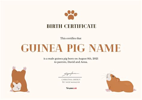 27 Birth Certificate Templates Word Ppt And Pdf Templatelab