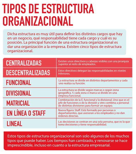 ¿qué Tipos De Diseños Organizacionales Existen Actualizado Octubre 2024