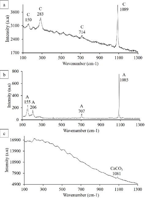 Raman Spectra Of Crystals From Three Bacterial Strains A Cd9 Grown Download Scientific