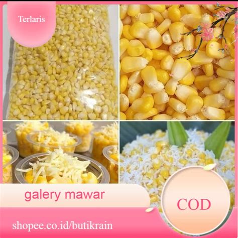 Jual Jagung Manis Pipil 1KG Cocok Untuk Jasuke Galery Mawar