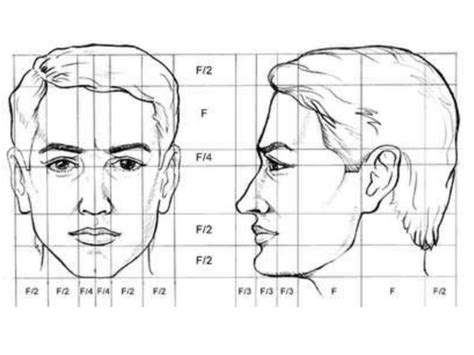 C Mo Dibujar Un Rostro Proporciones Del Rostro Ppt