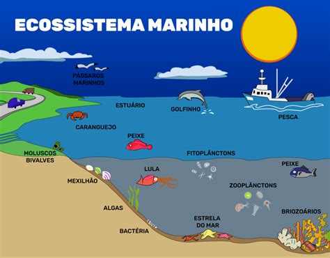 Revisão Prova do 1º Bimestre Quiz