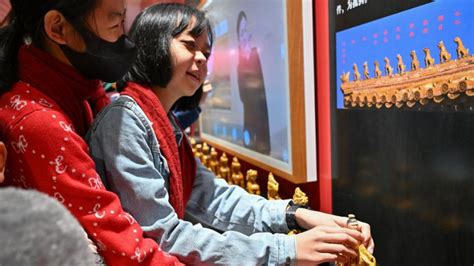 GLOBALink Int L Students Experience Chinese Culture Juncao Tech Xinhua