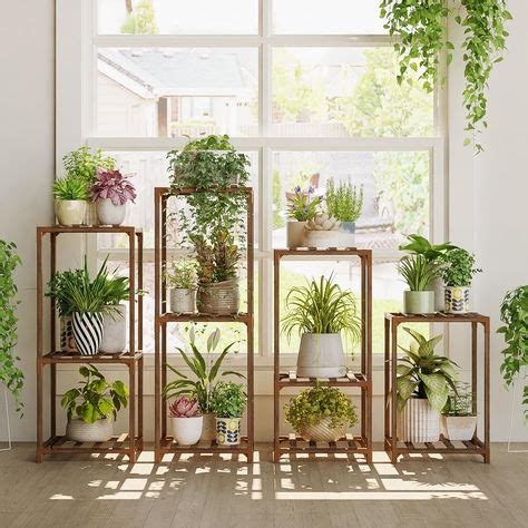Terrarium How To
