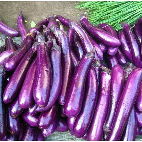 Jual Sayur Terong Ungu Tanggung Fresh Segar Kg Shopee Indonesia