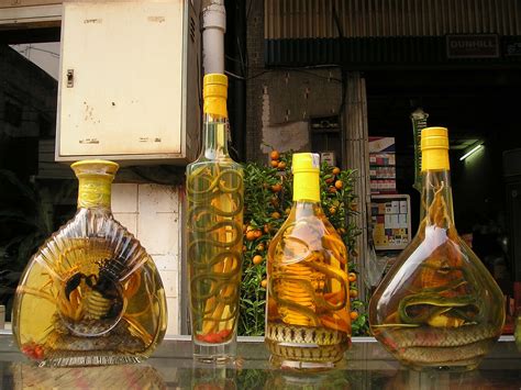 Do French People Drink Snake And Toad Liqueur The French Instinct