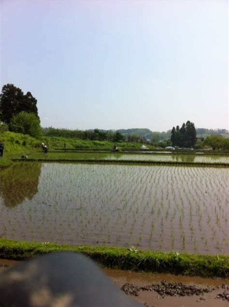 田 え 魚信の雑記帳