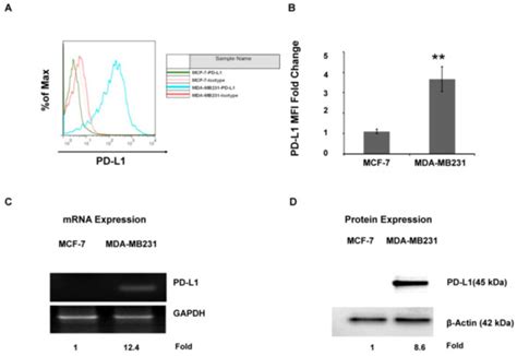 Molecules Free Full Text Inhibitory Effect Of Hesperidin On The