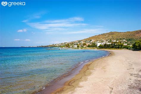 Best 10 Beaches In Aegina Greece Greeka