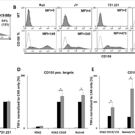 Tigit Enhances The Function Of Anti Cd Bbz Car T Cells A Primary