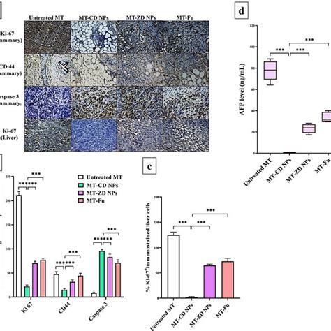 Immunohistochemical analysis and biochemical detection of... | Download ...