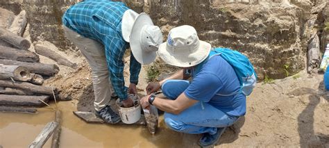 Proyecto de UTEC para eliminar el uso de mercurio en minería